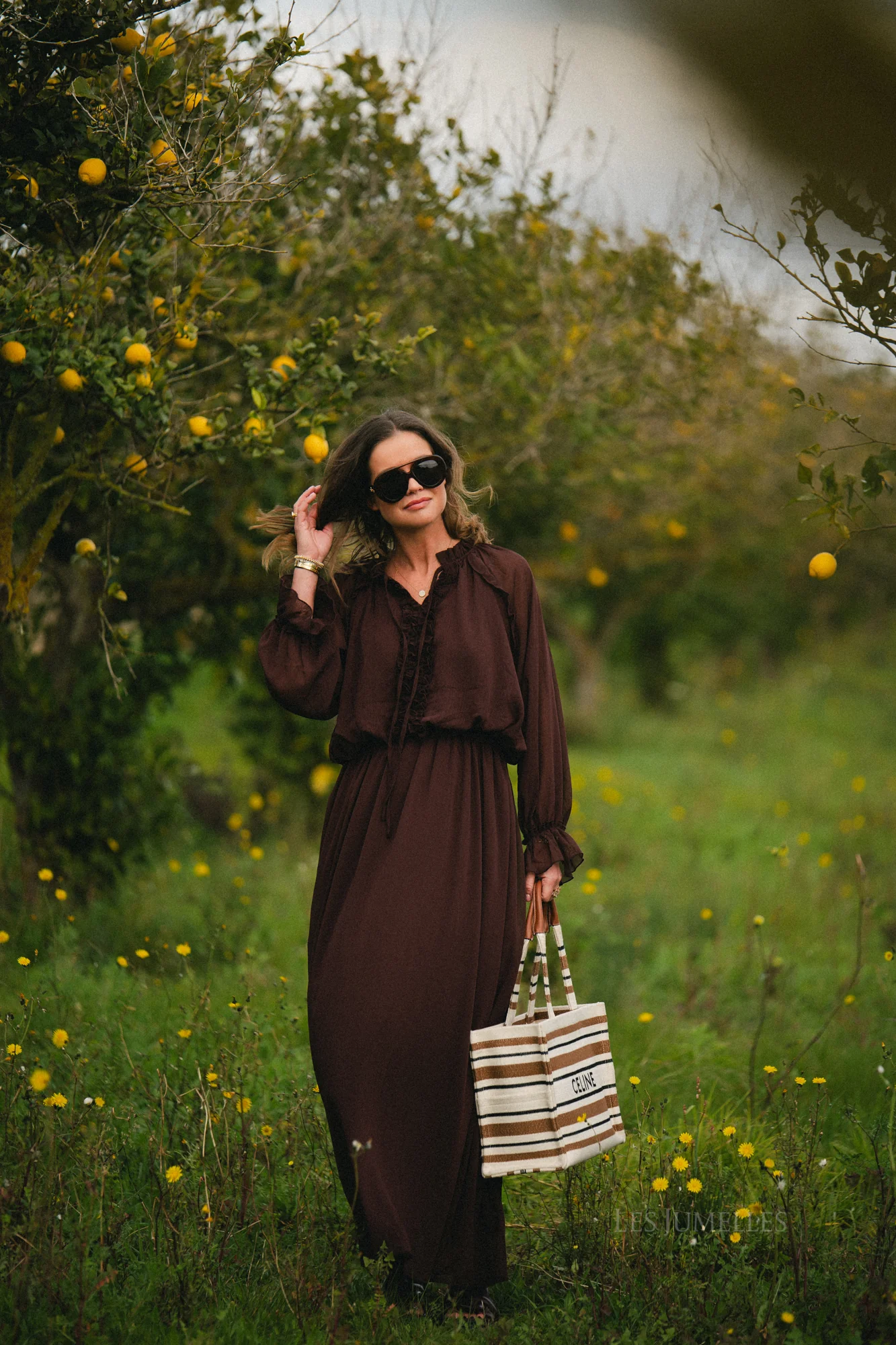 Celine maxi dress hot chocolate - Image 10