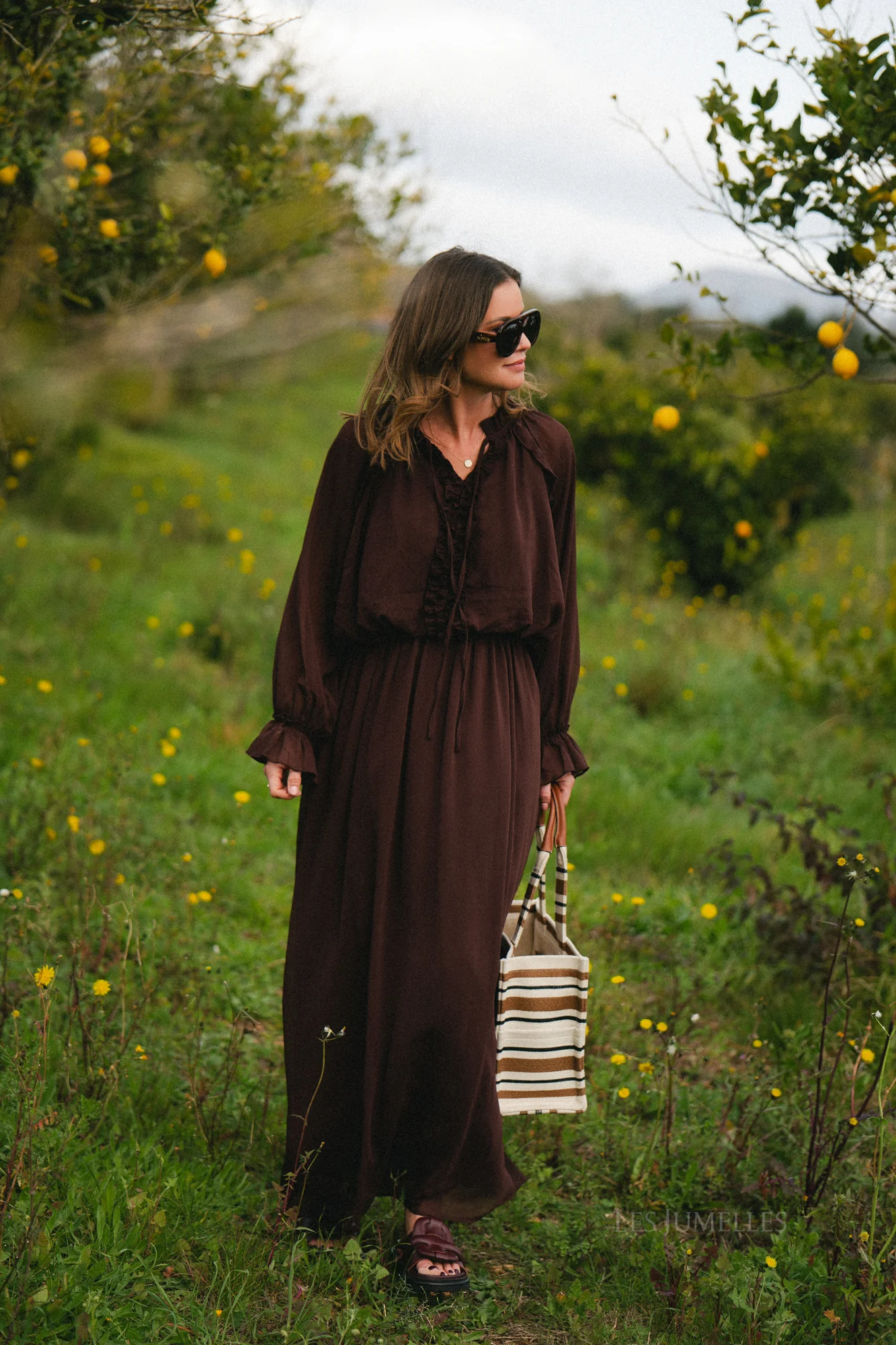 Celine maxi dress hot chocolate - Image 12